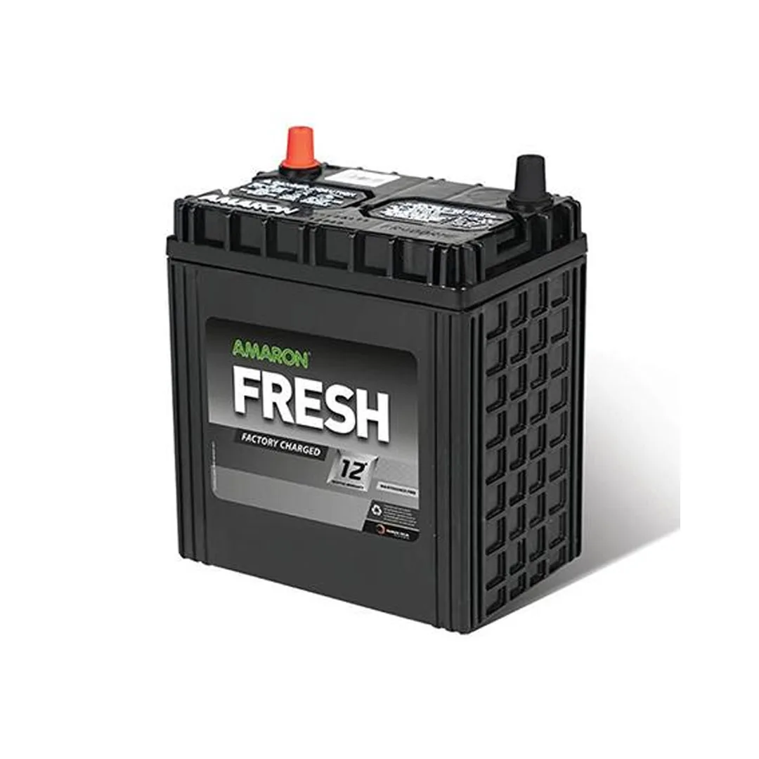 35Ah Battery for Scala Amaron